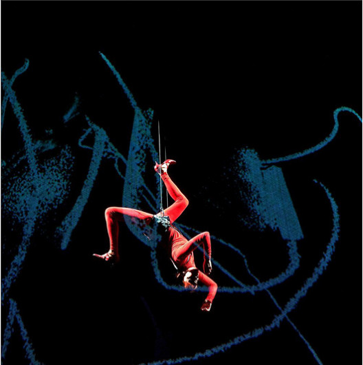 3D-Projektionstüll HOLOVISION